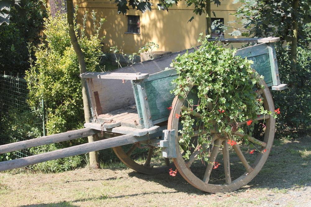 Agriturismo La.ti.mi.da. * Cassine